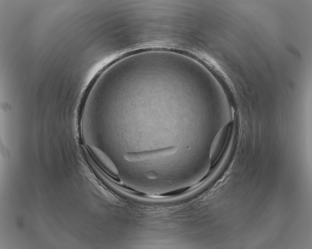 X0000090931230200708061557