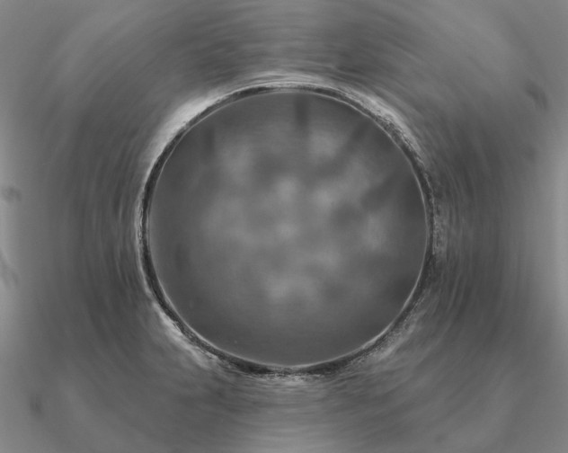 X0000090931231200708061557