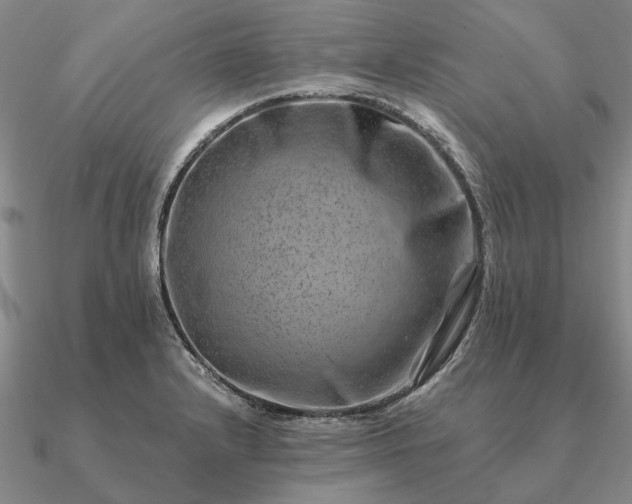 X0000090931232200708061557