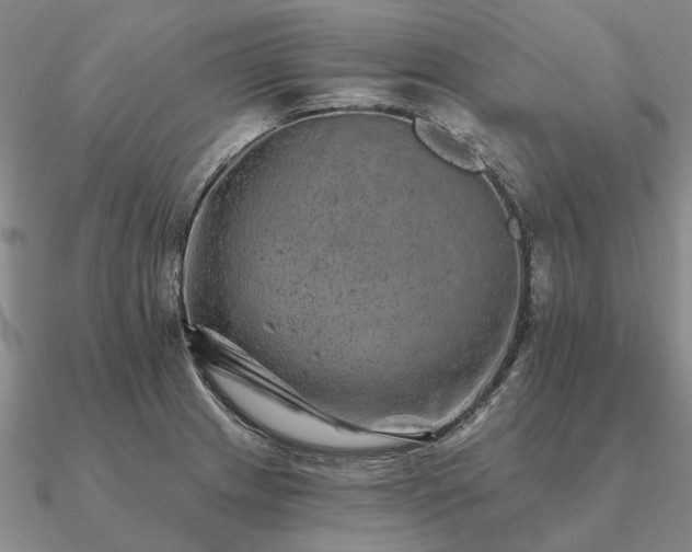 X0000090931233200708061557
