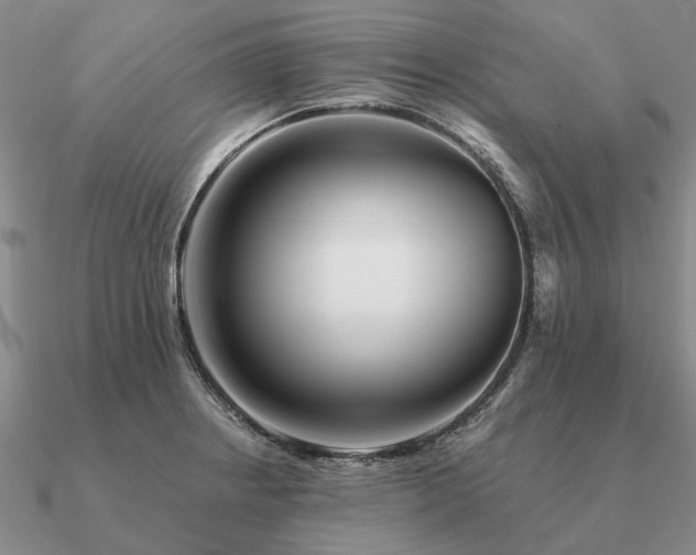 X0000090931234200708061557