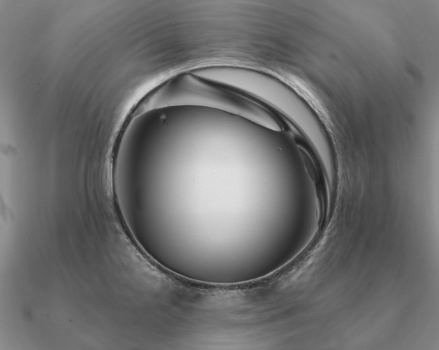 X0000090931238200708061557