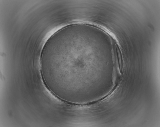 X0000090931239200708061557