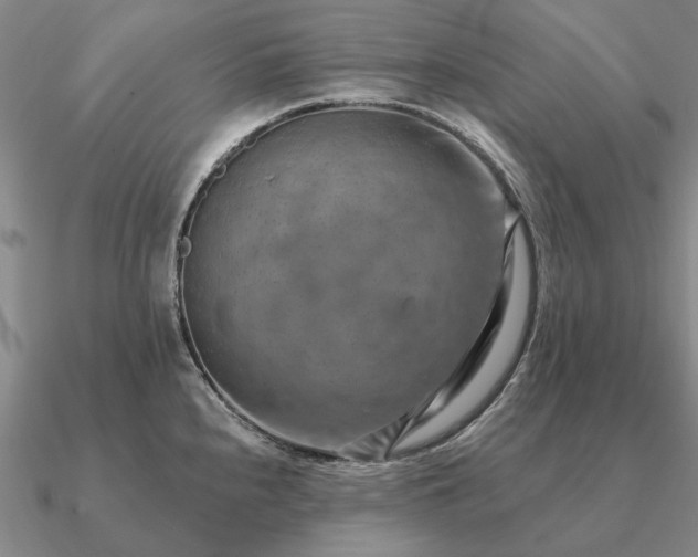 X0000090931240200708061557