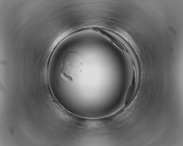 X0000090931242200708061557
