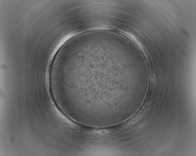 X0000090931243200708061557