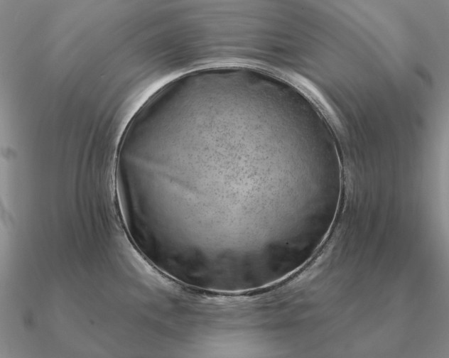 X0000090931244200708061557