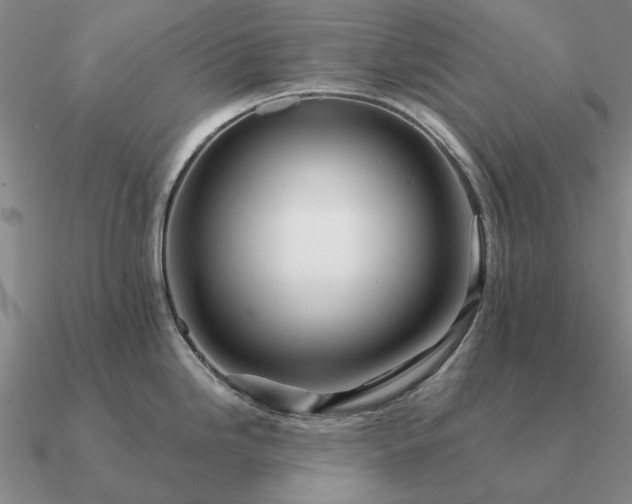 X0000090931246200708061557