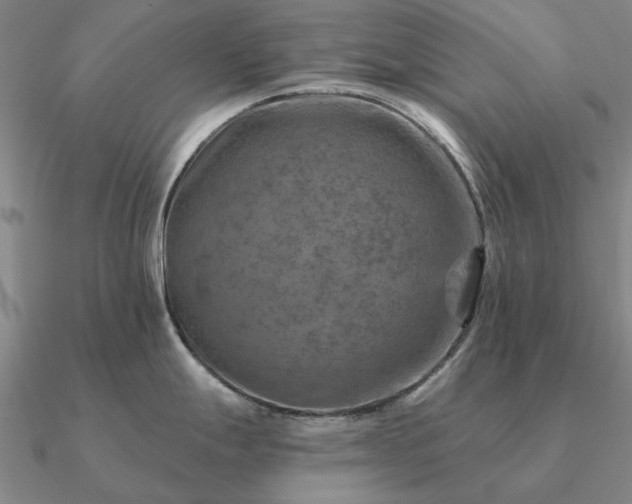 X0000090931247200708061557