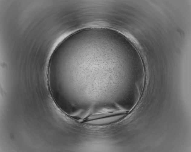 X0000090931248200708061557
