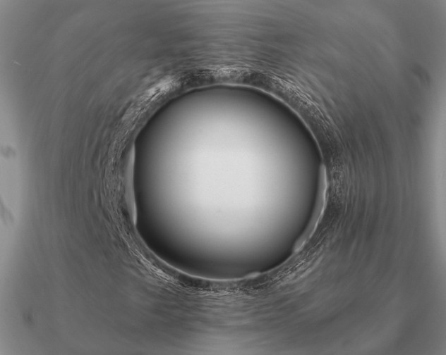 X0000090931249200708061556