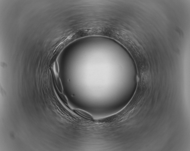 X0000090931250200708061556