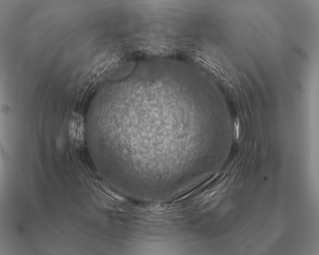 X0000090931251200708061556
