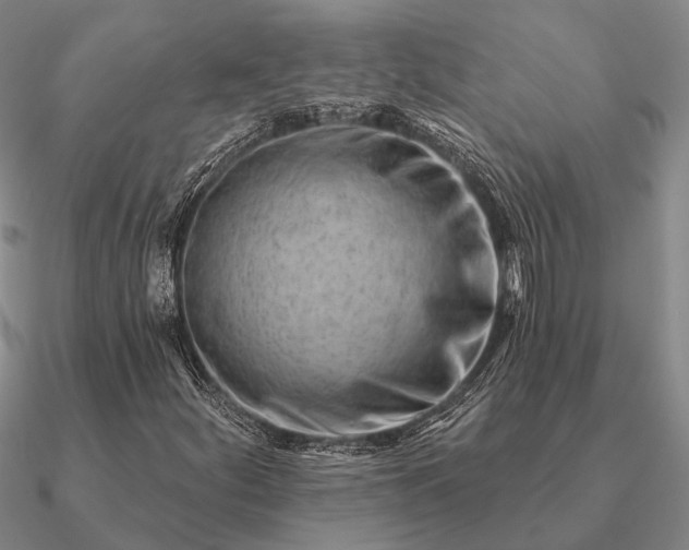 X0000090931252200708061556
