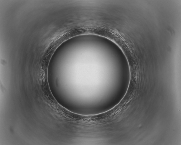 X0000090931253200708061556