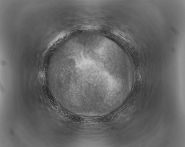 X0000090931254200708061556