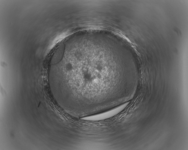 X0000090931255200708061556