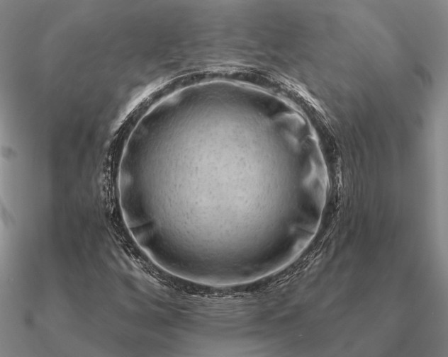 X0000090931256200708061556