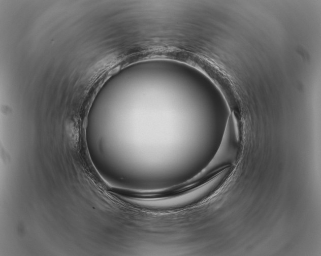 X0000090931257200708061556