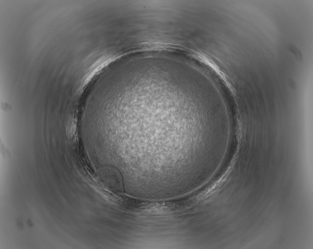 X0000090931259200708061556