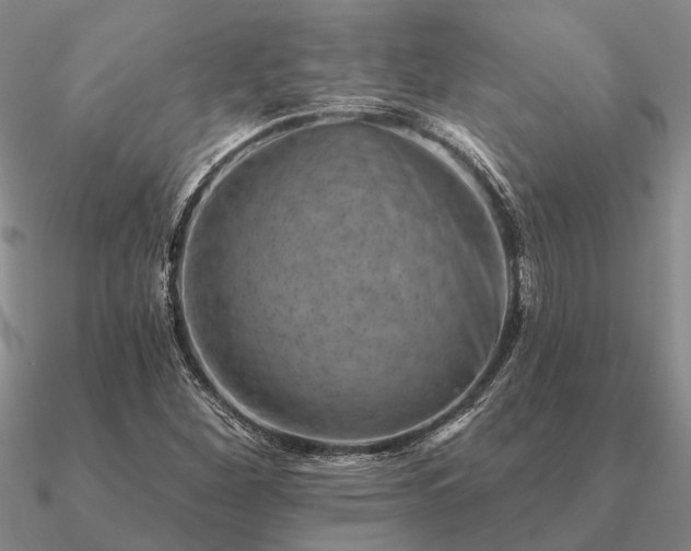 X0000090931260200708061556