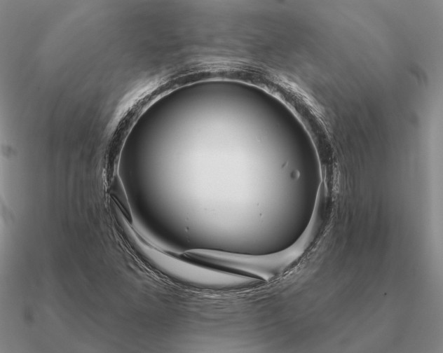 X0000090931261200708061556