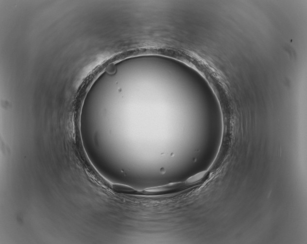 X0000090931262200708061556