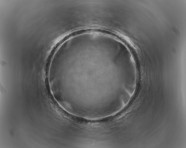 X0000090931264200708061556