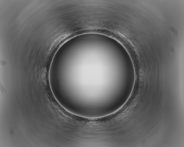 X0000090931265200708061556
