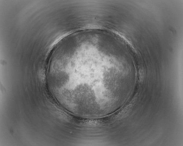 X0000090931266200708061556