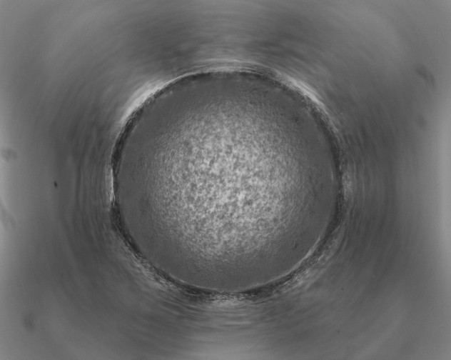 X0000090931267200708061556