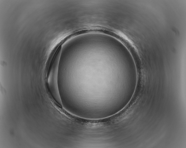 X0000090931269200708061556