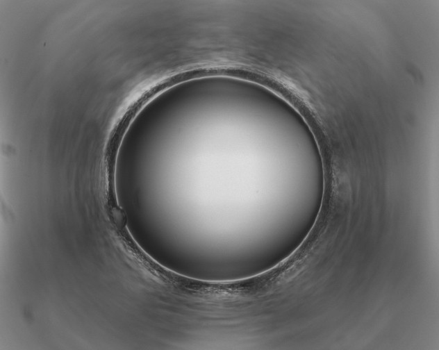 X0000090931270200708061556