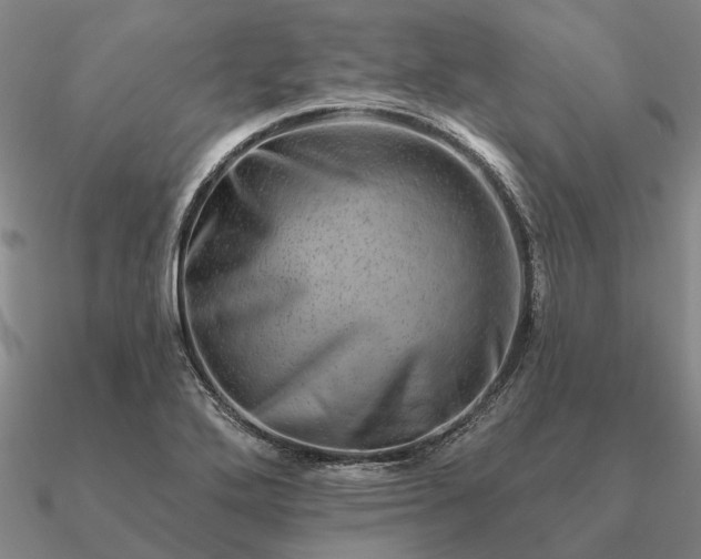 X0000090931272200708061556