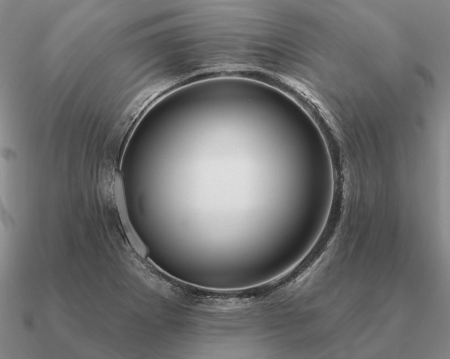 X0000090931273200708061556