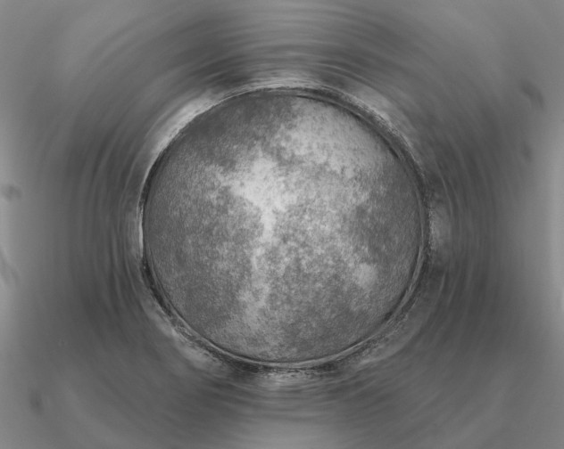 X0000090931274200708061556