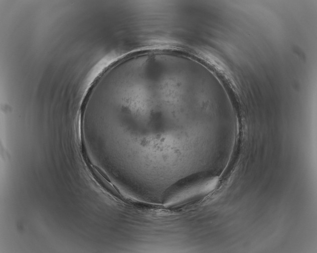 X0000090931275200708061556