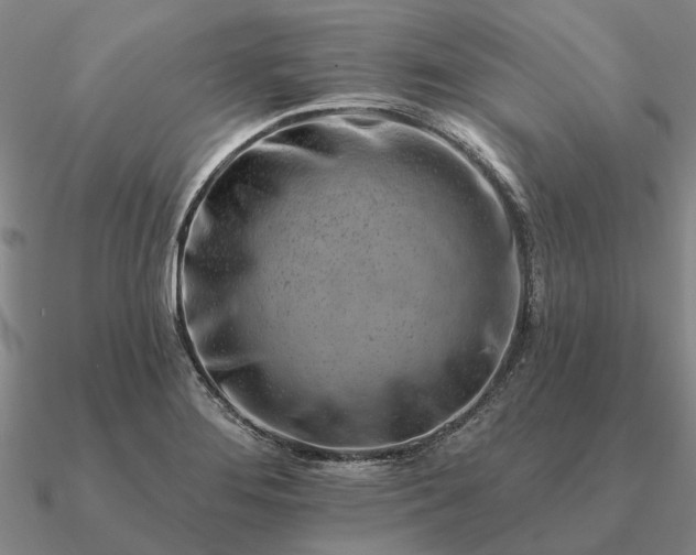 X0000090931276200708061556