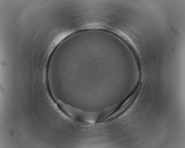 X0000090931277200708061556