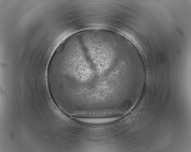 X0000090931283200708061556