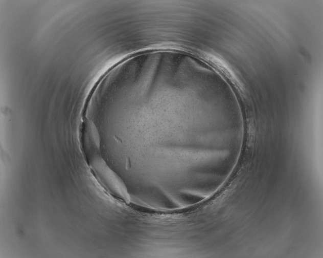 X0000090931284200708061556