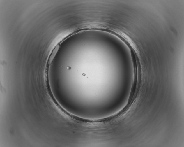X0000090931285200708061556