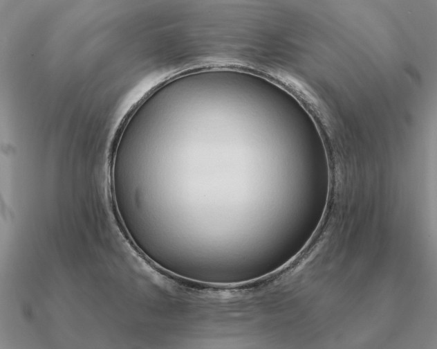 X0000090931286200708061556
