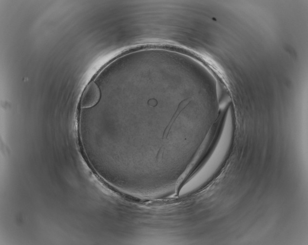 X0000090931287200708061556