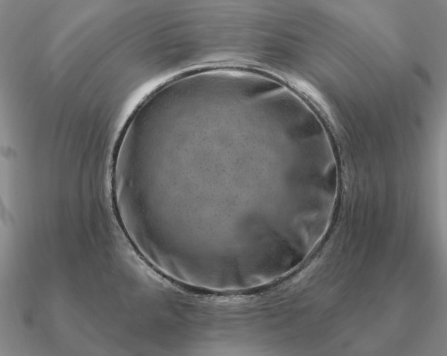 X0000090931288200708061556
