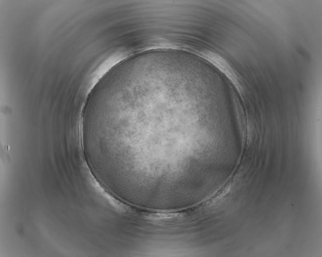 X0000090931290200708061556