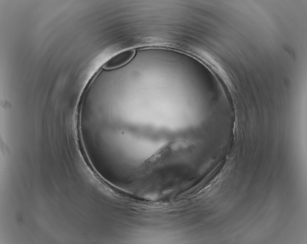 X0000090931291200708061556