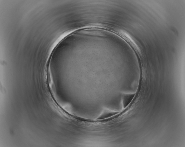 X0000090931292200708061556