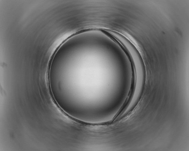 X0000090931293200708061556