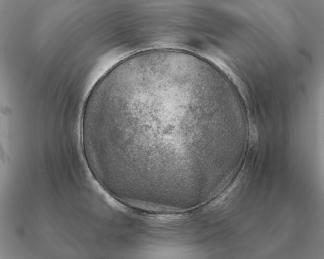 X0000090931294200708061556